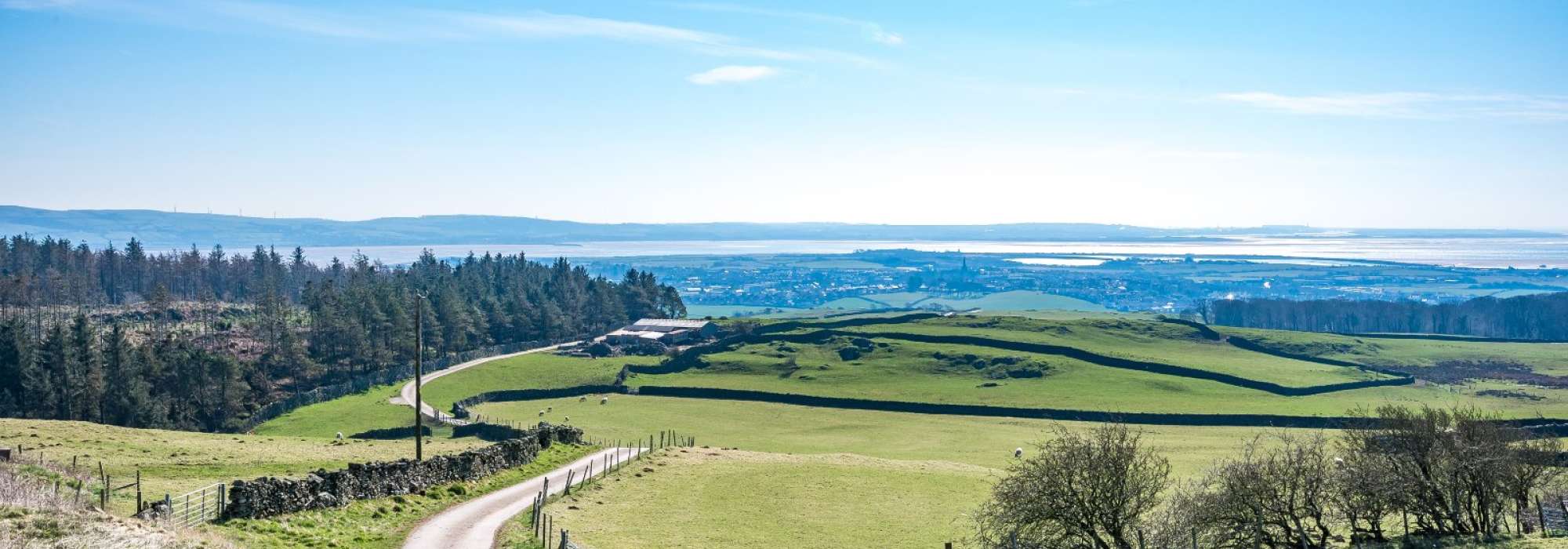 Green grass landscape with blue skies 