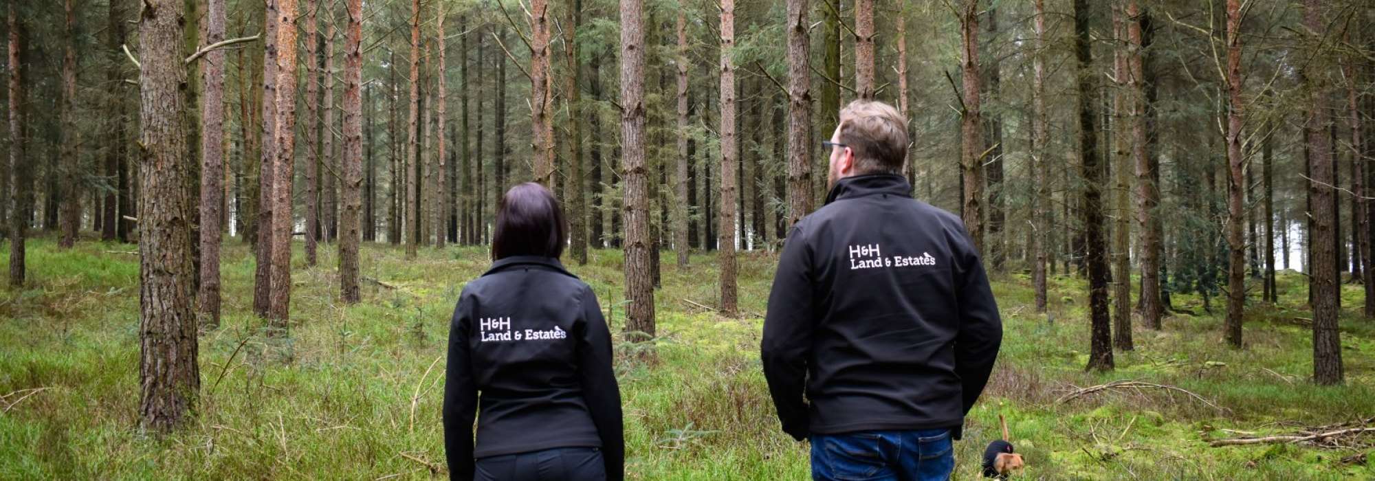Our Forestry team stood with their backs to the camera in a woodland, wearing their H&H Land & Estates branded jackets.