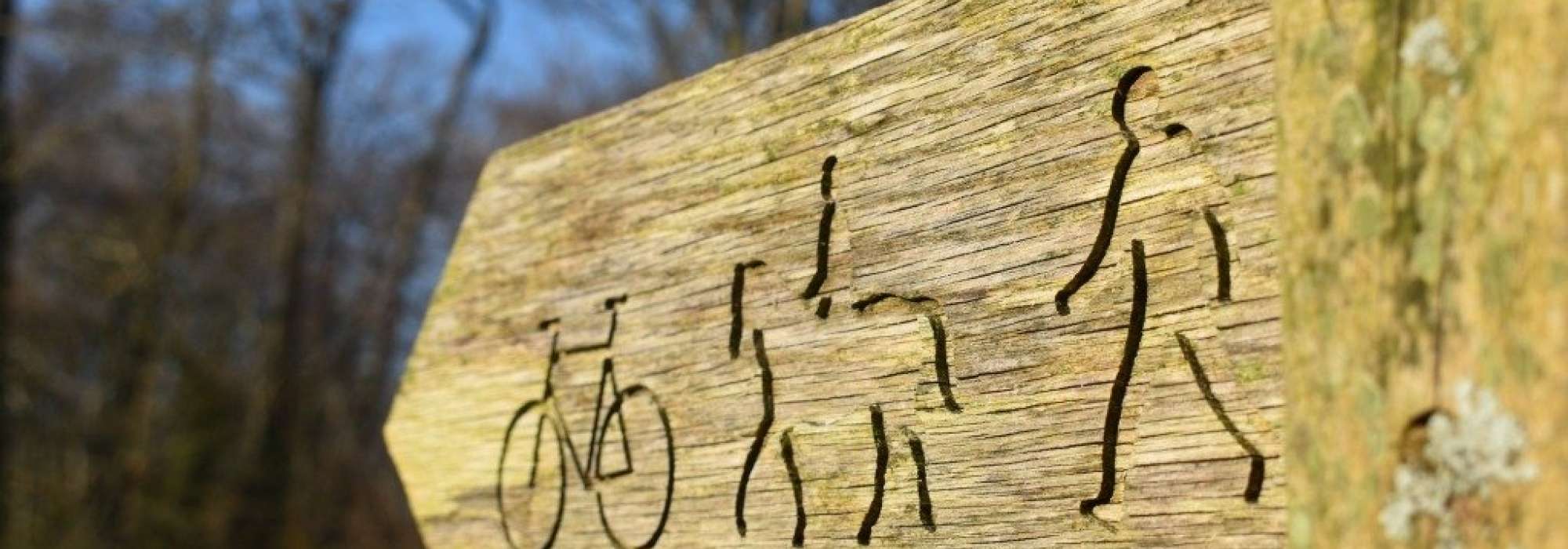 A bridleway fingerpost with figures of someone walking