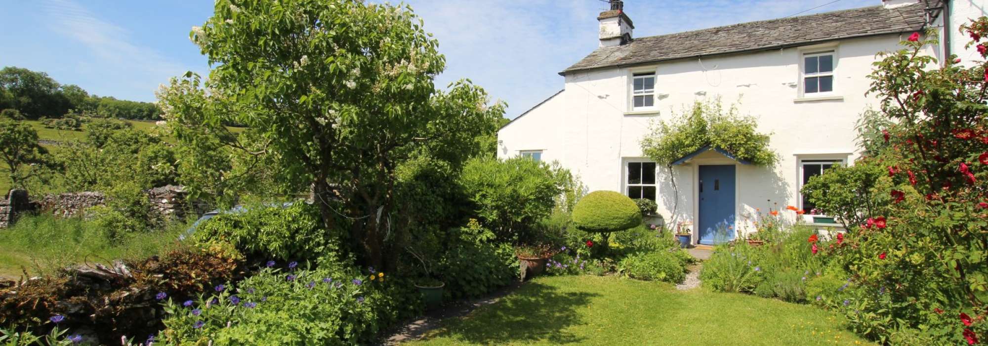 White cottage surrounded by greenery.
