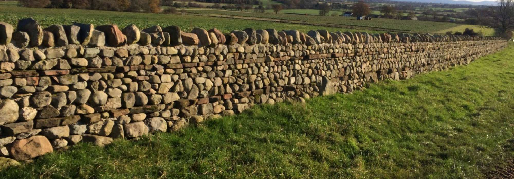 Stone wall in a field