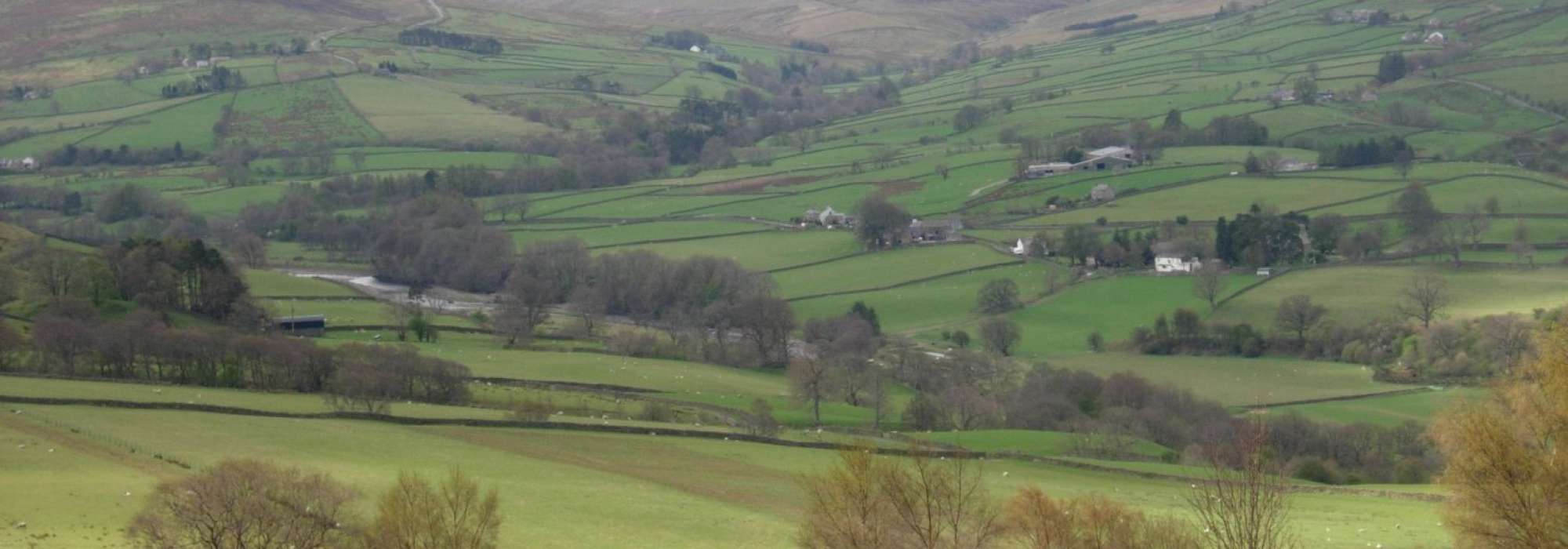 Large plot of land.