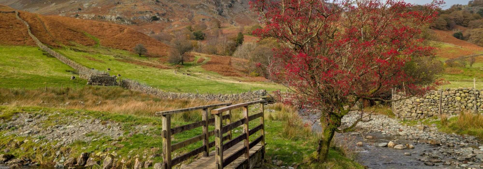 Bridge across a stream with greenery and fells in the background