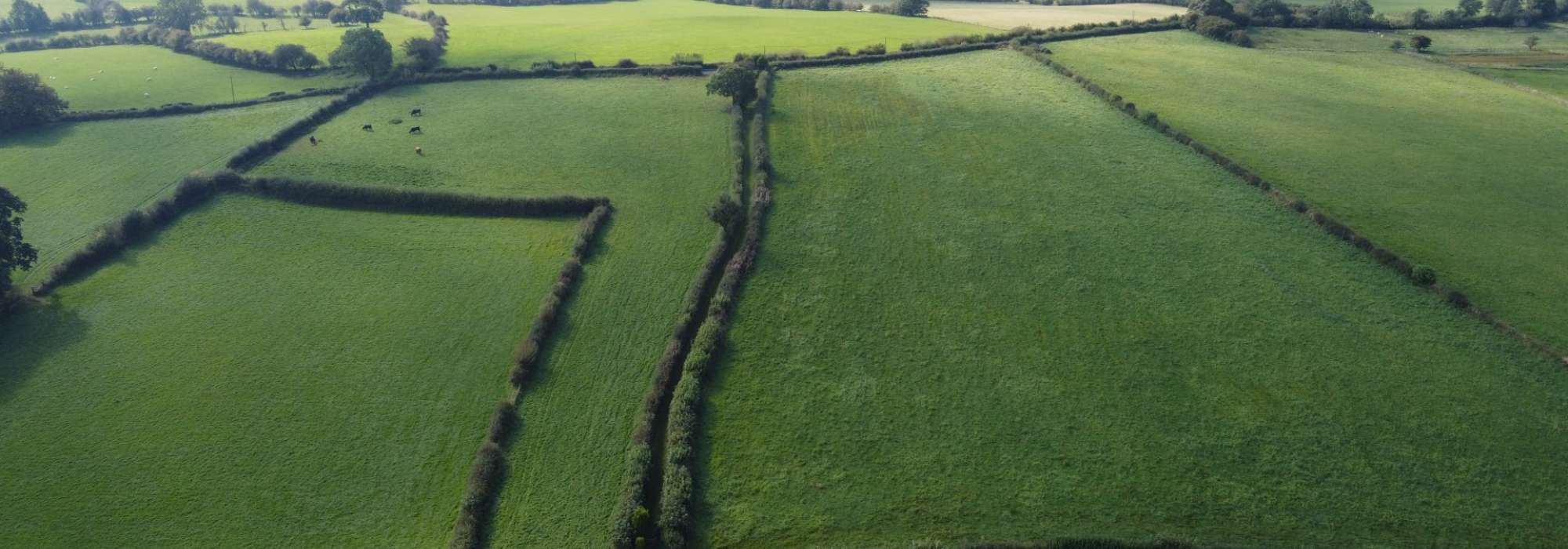 An ariel shot of a green field with a hedged bridleway