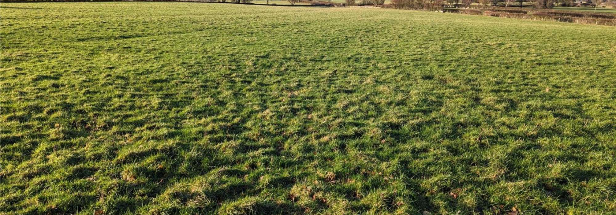 An open field of land for sale at Caldbeck, near Wigton