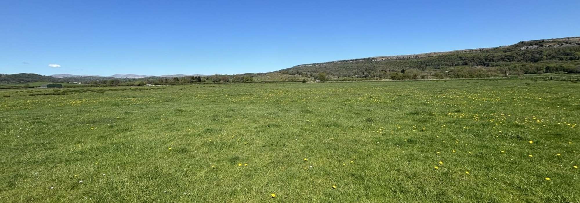 Large plot of land with bright blue skies.