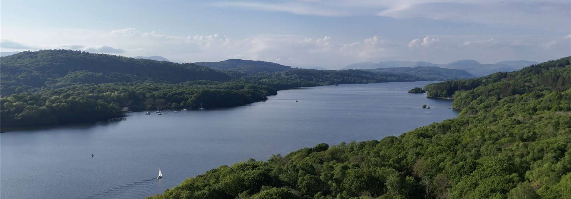Lake with green trees to each side