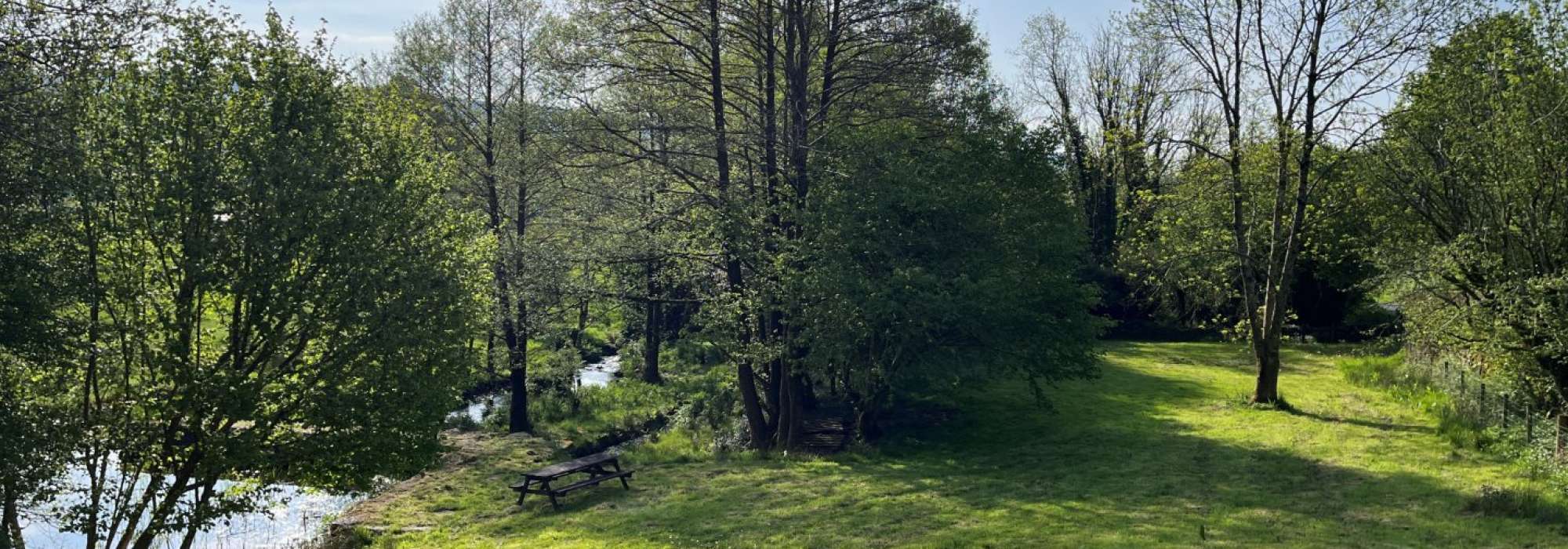 Area of land covered in grass and trees with a pond going through it.